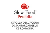 La cipolla dell’acqua di Santarcangelo di Romagna è un nuovo Presidio Slow Food!