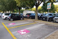 Parcheggi rosa, la Giunta approva la nuova regolamentazione per il rilascio del permesso dedicato