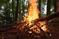 Pericolo incendi boschivi, prosegue la fase di attenzione